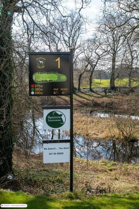 New Development for Sale in Mountrath, Laois