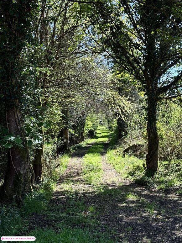 Detached house for Sale in Monasteraden, Sligo