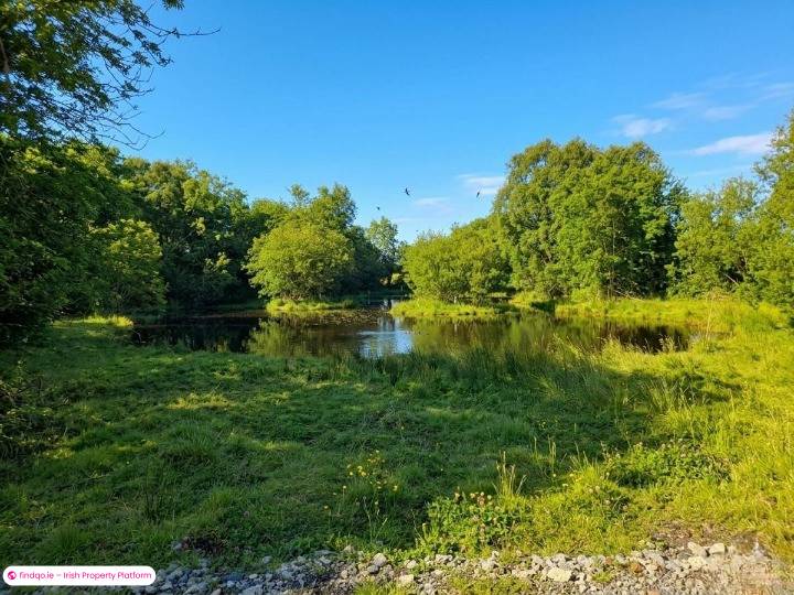 Commercial Site for Sale in Edenderry, Offaly