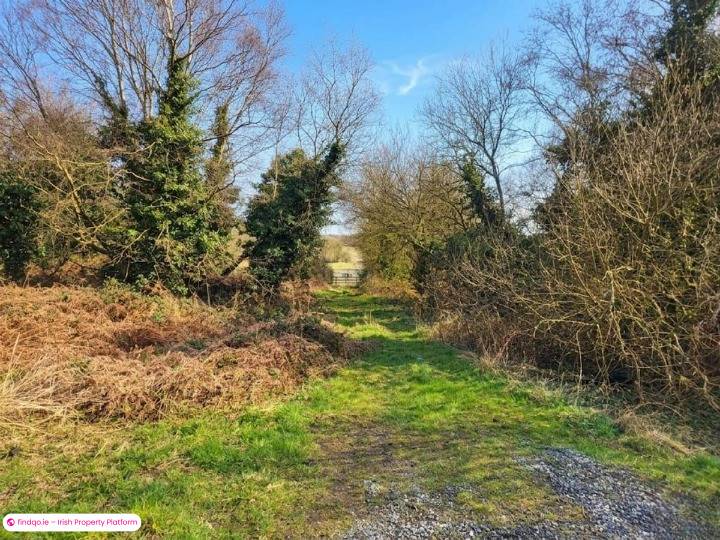 Commercial Site for Sale in Edenderry, Offaly