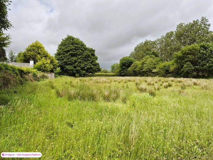Agricultural Land for Sale in Bellaghy, Sligo