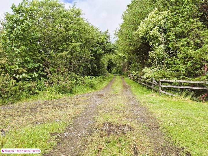 Agricultural Land for Sale in Bellaghy, Sligo