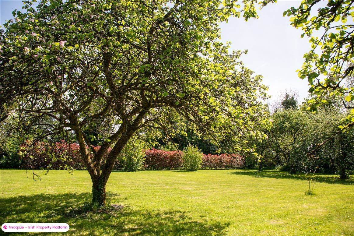 Detached house for Sale in Narraghmore, Kildare