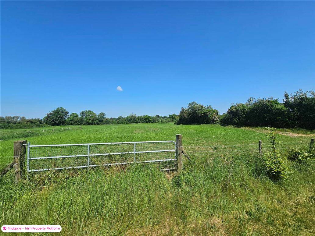 Detached house for Sale in Maganey, Kildare