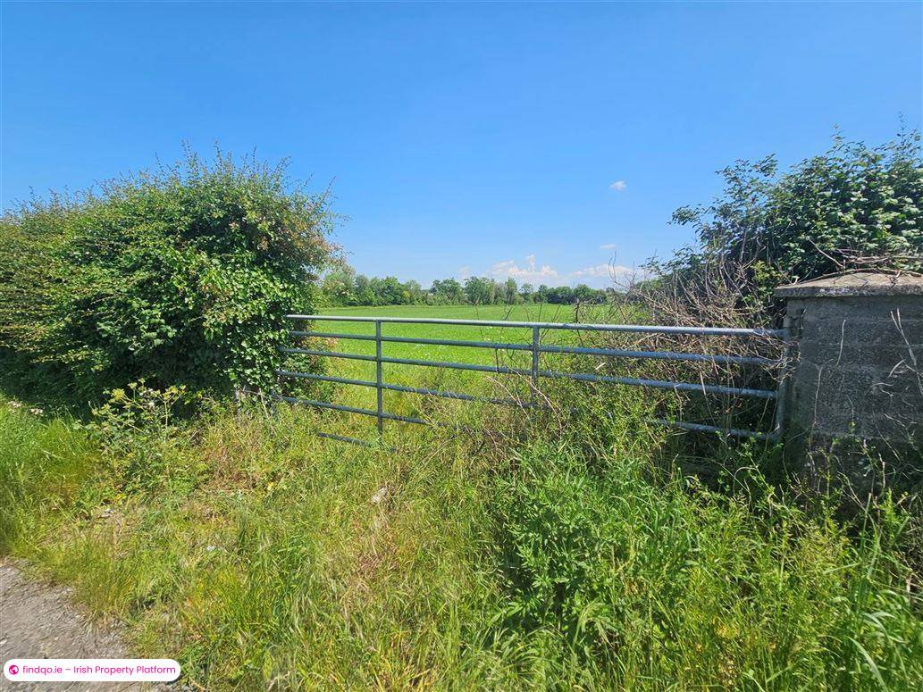 Detached house for Sale in Maganey, Kildare