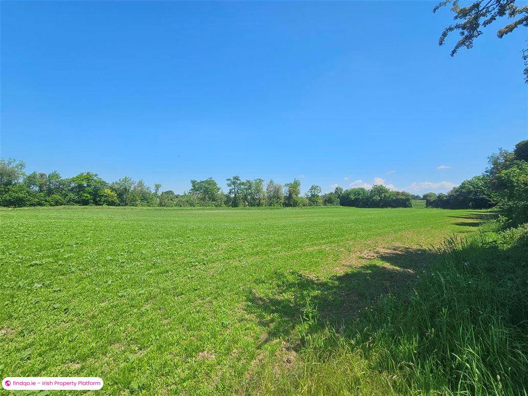 Detached house for Sale in Maganey, Kildare