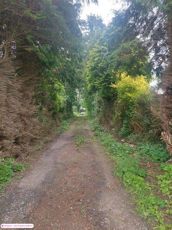Detached house for Sale in Hospital, Limerick