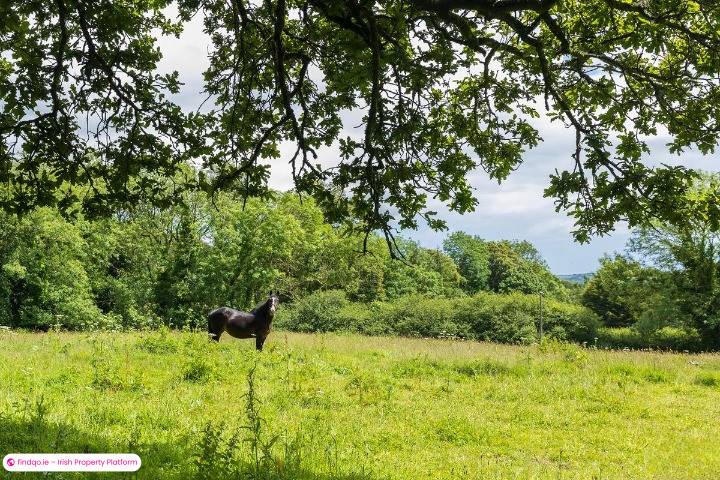 Detached house for Sale in Midleton, Cork
