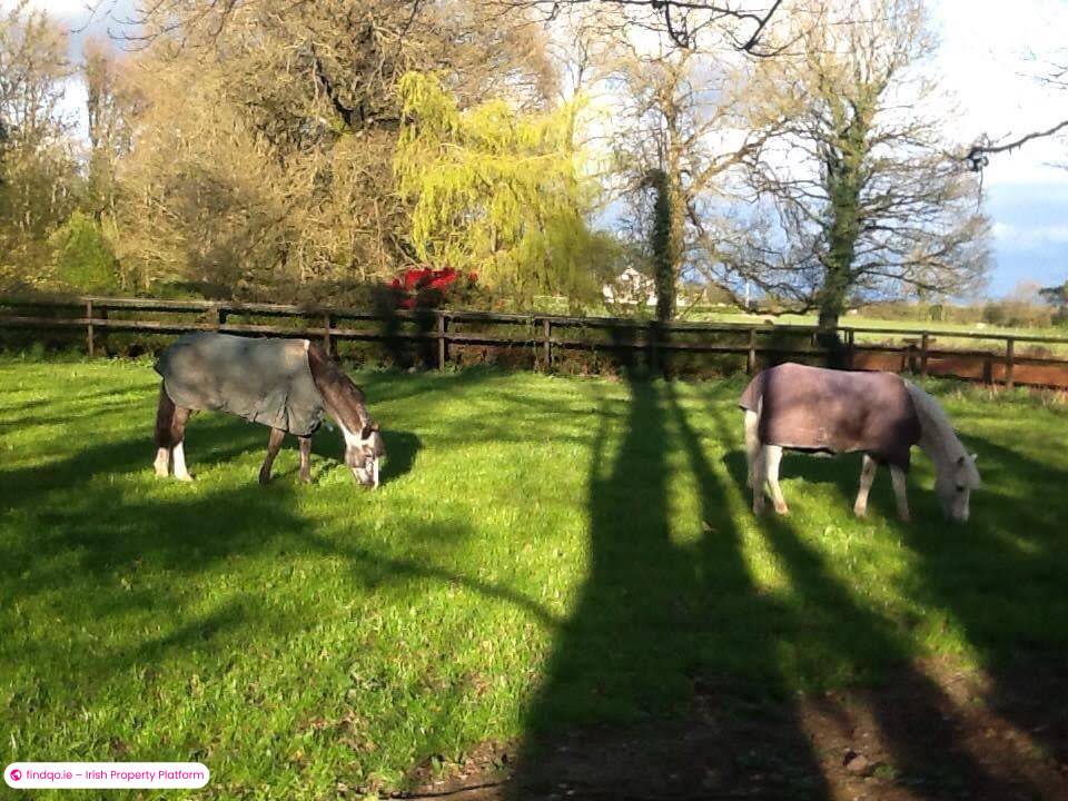 Detached house for Sale in Kilmeedy, Limerick