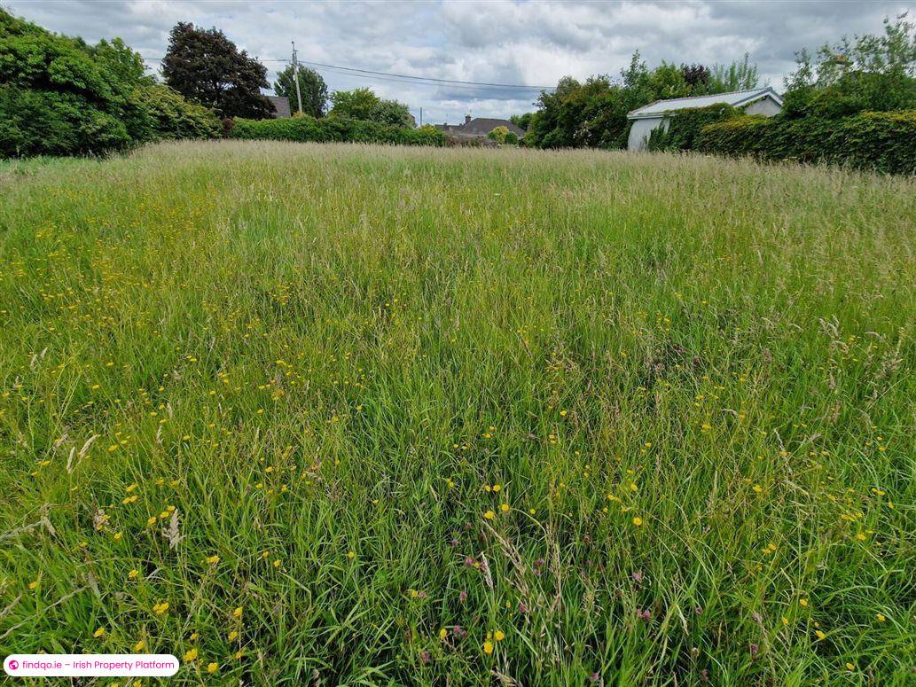 Site for Sale in Nenagh, Tipperary