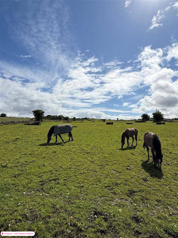 Detached house for Sale in Ballaghaderreen, Roscommon