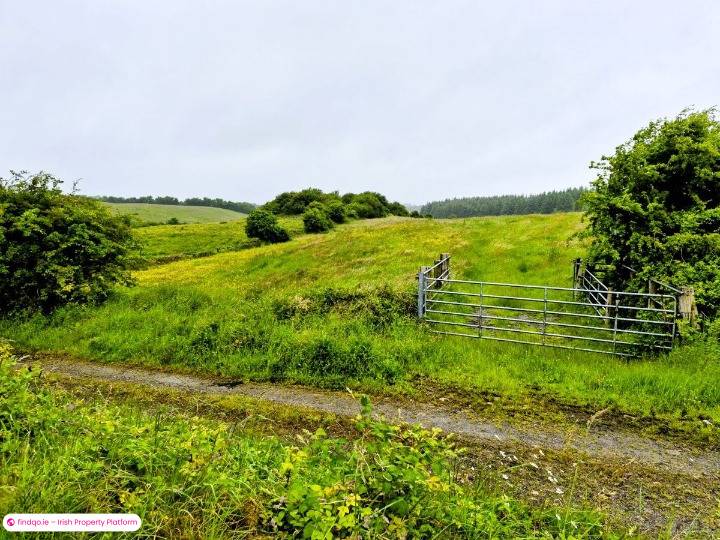 Agricultural Land for Sale in Swinford, Mayo