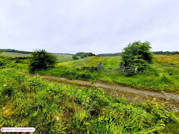 Agricultural Land for Sale in Swinford, Mayo