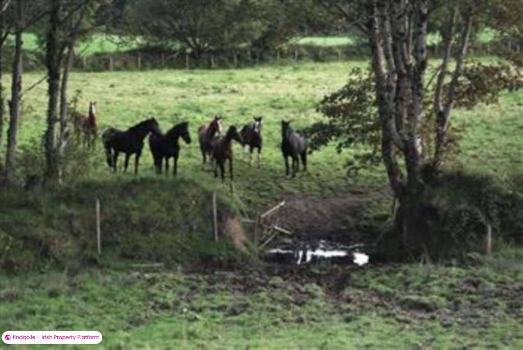 Development Land for Sale in Ballina, Mayo