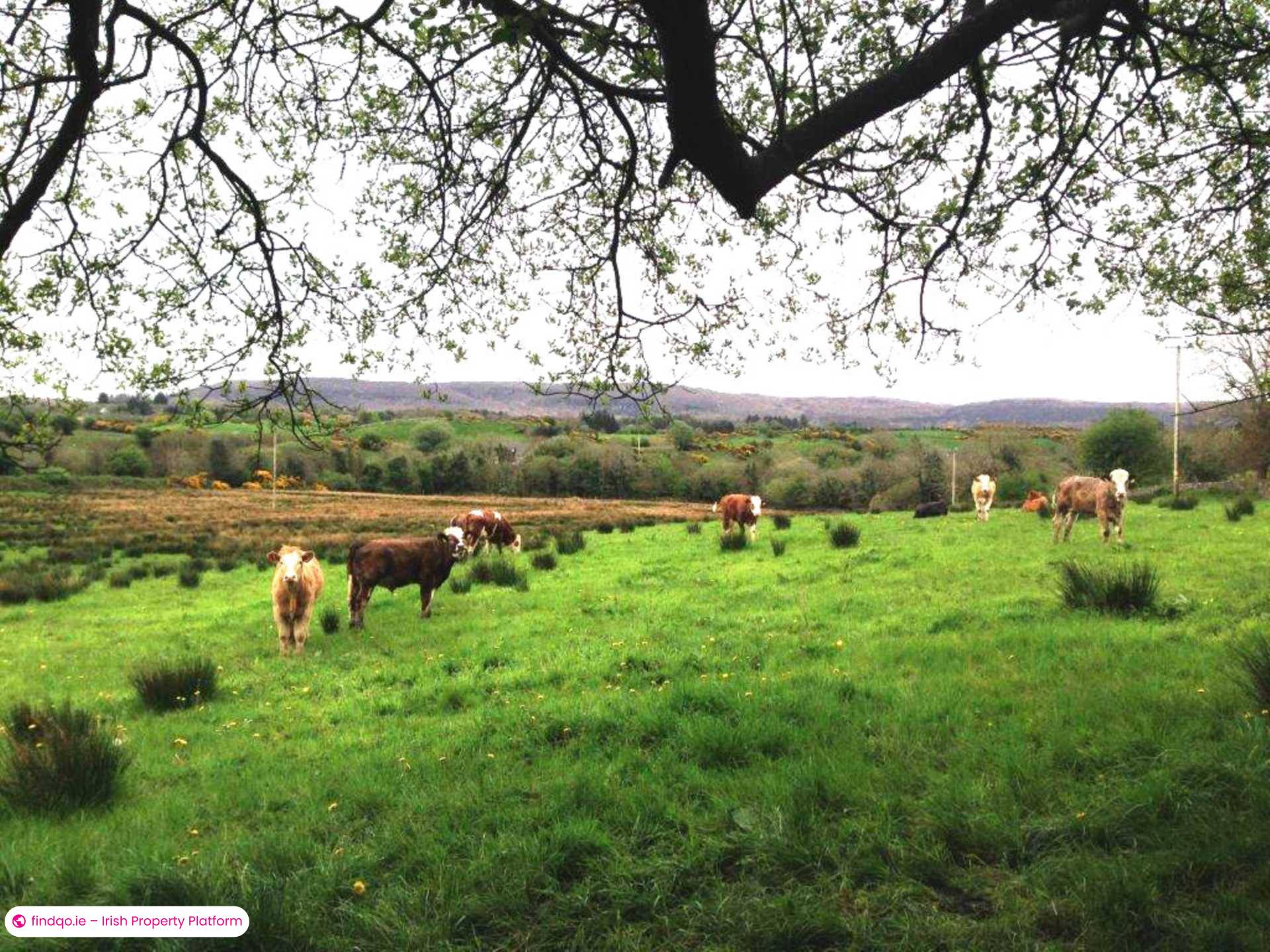 Commercial Site for Sale in Ballina, Mayo