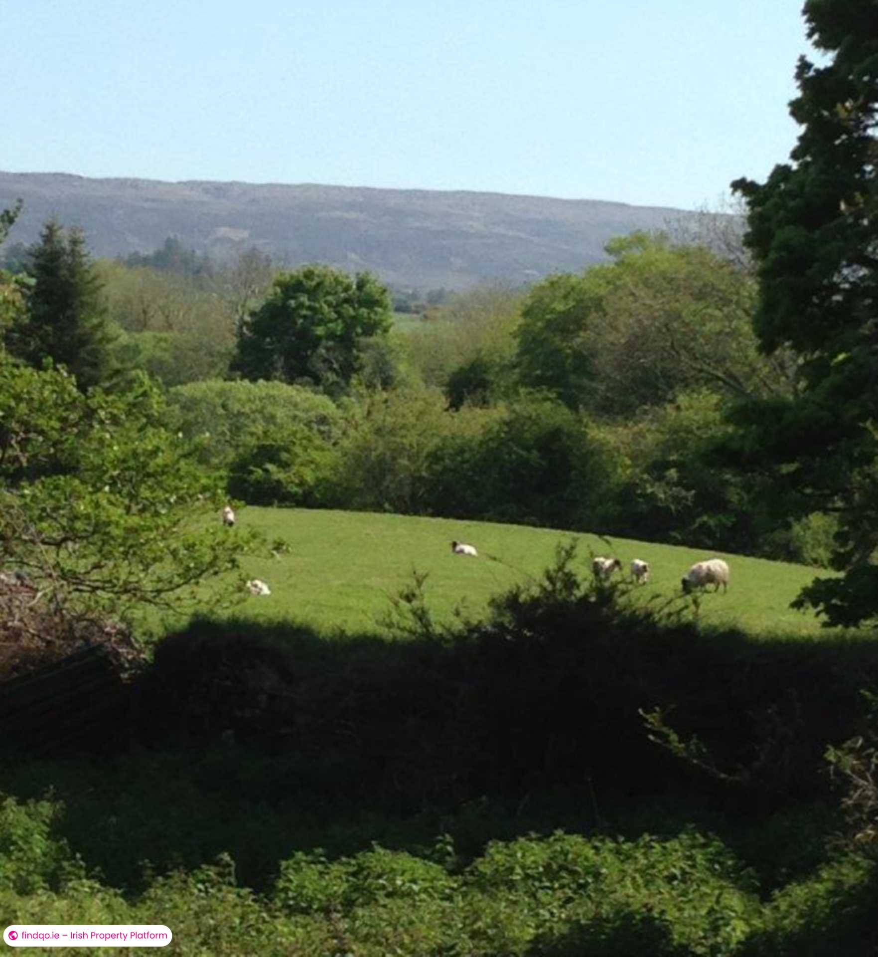 Commercial Site for Sale in Ballina, Mayo