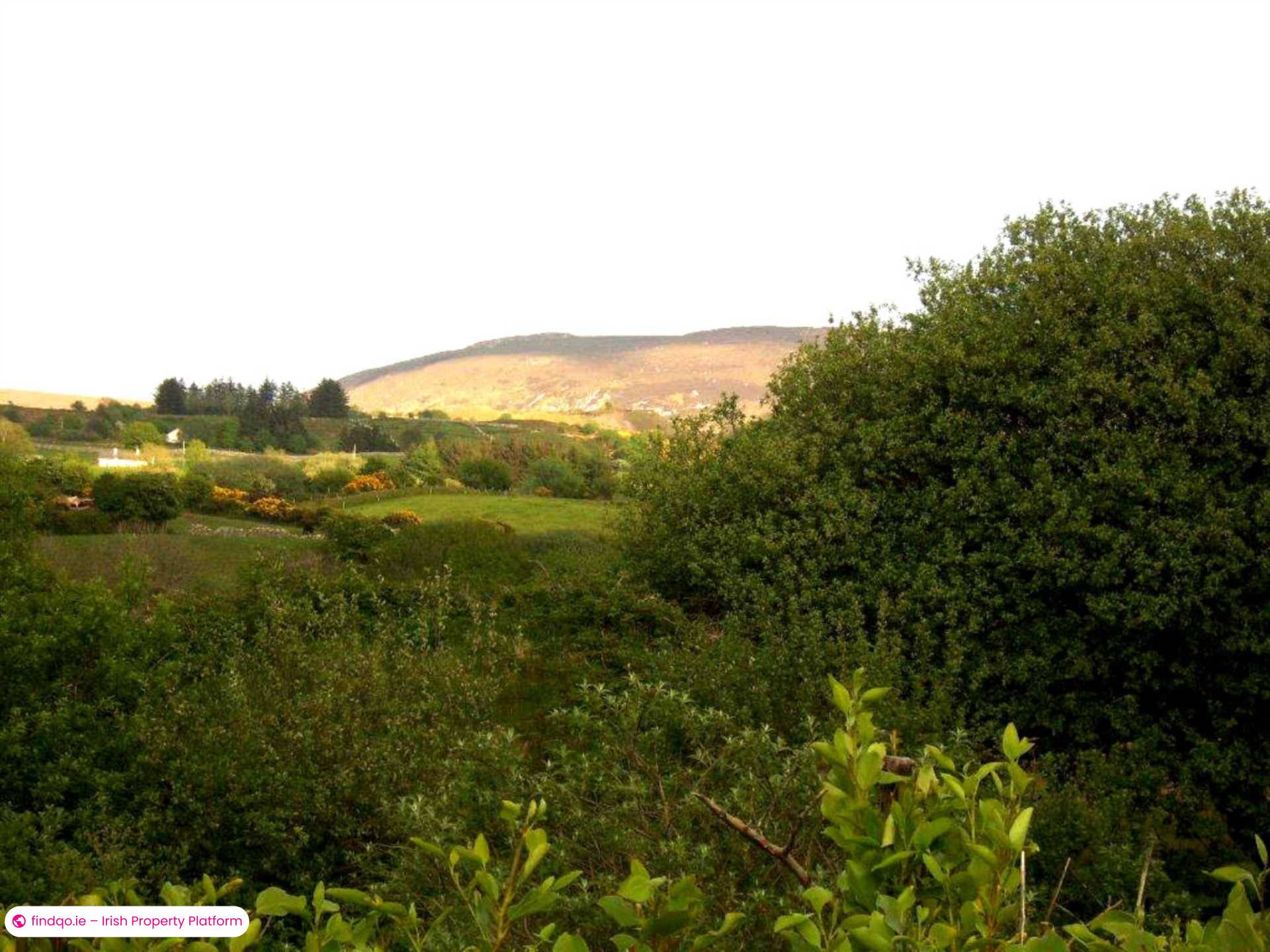 Commercial Site for Sale in Ballina, Mayo
