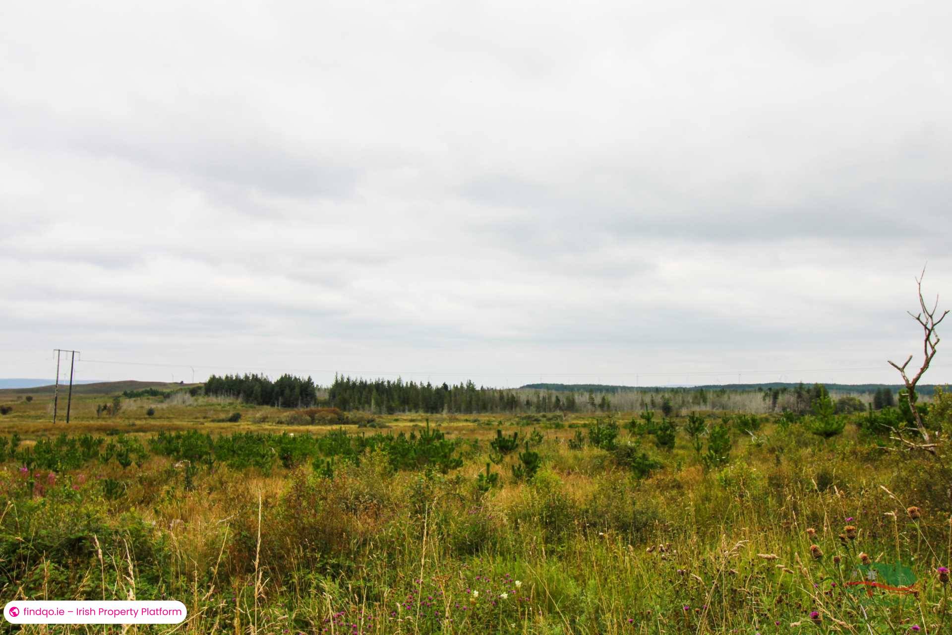 Development Land for Sale in Crossmolina, Mayo