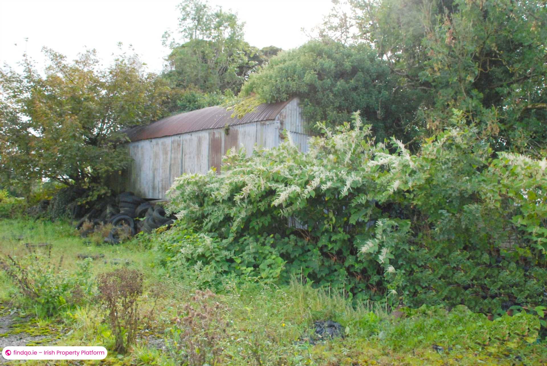 Agricultural Land for Sale in Swinford, Mayo