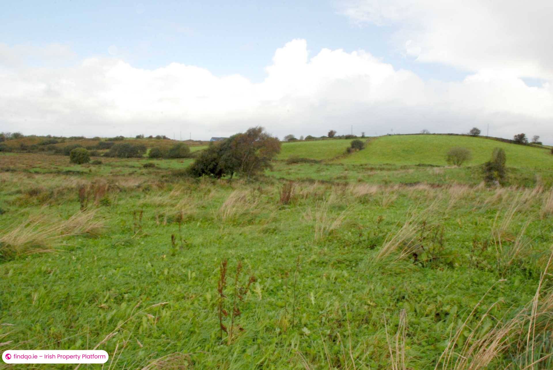 Agricultural Land for Sale in Swinford, Mayo