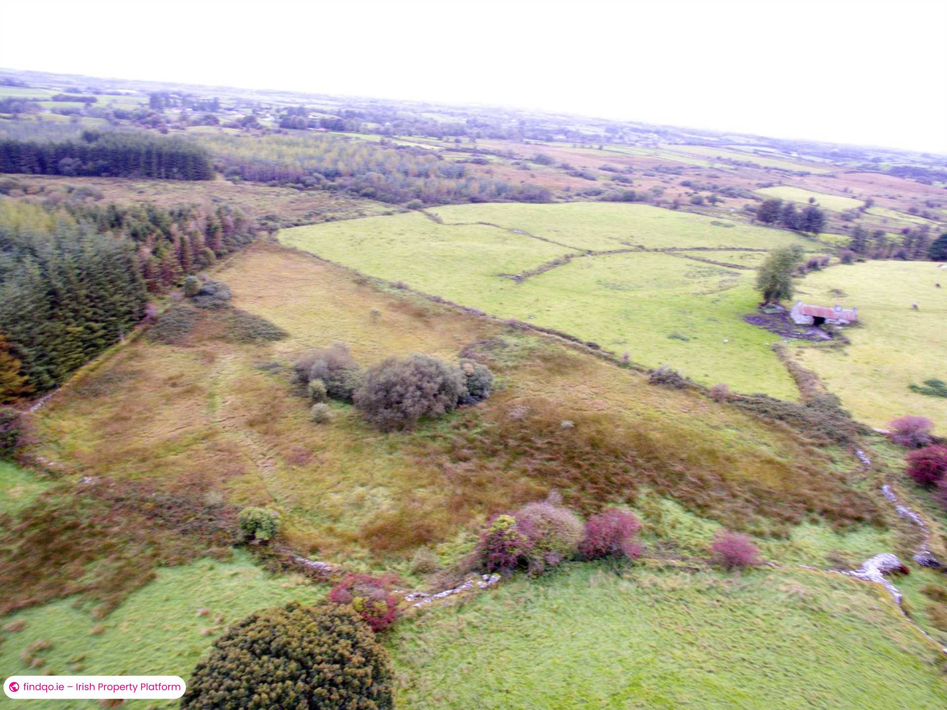 Agricultural Land for Sale in Swinford, Mayo