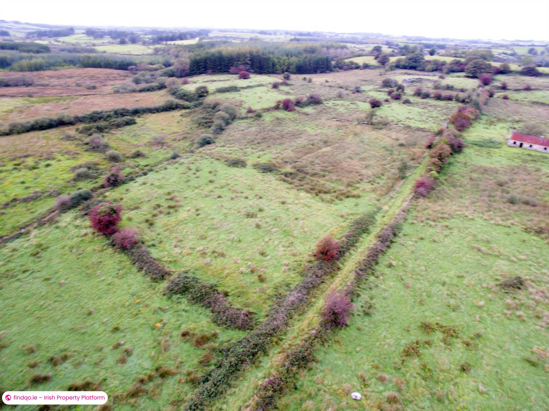 Agricultural Land for Sale in Swinford, Mayo