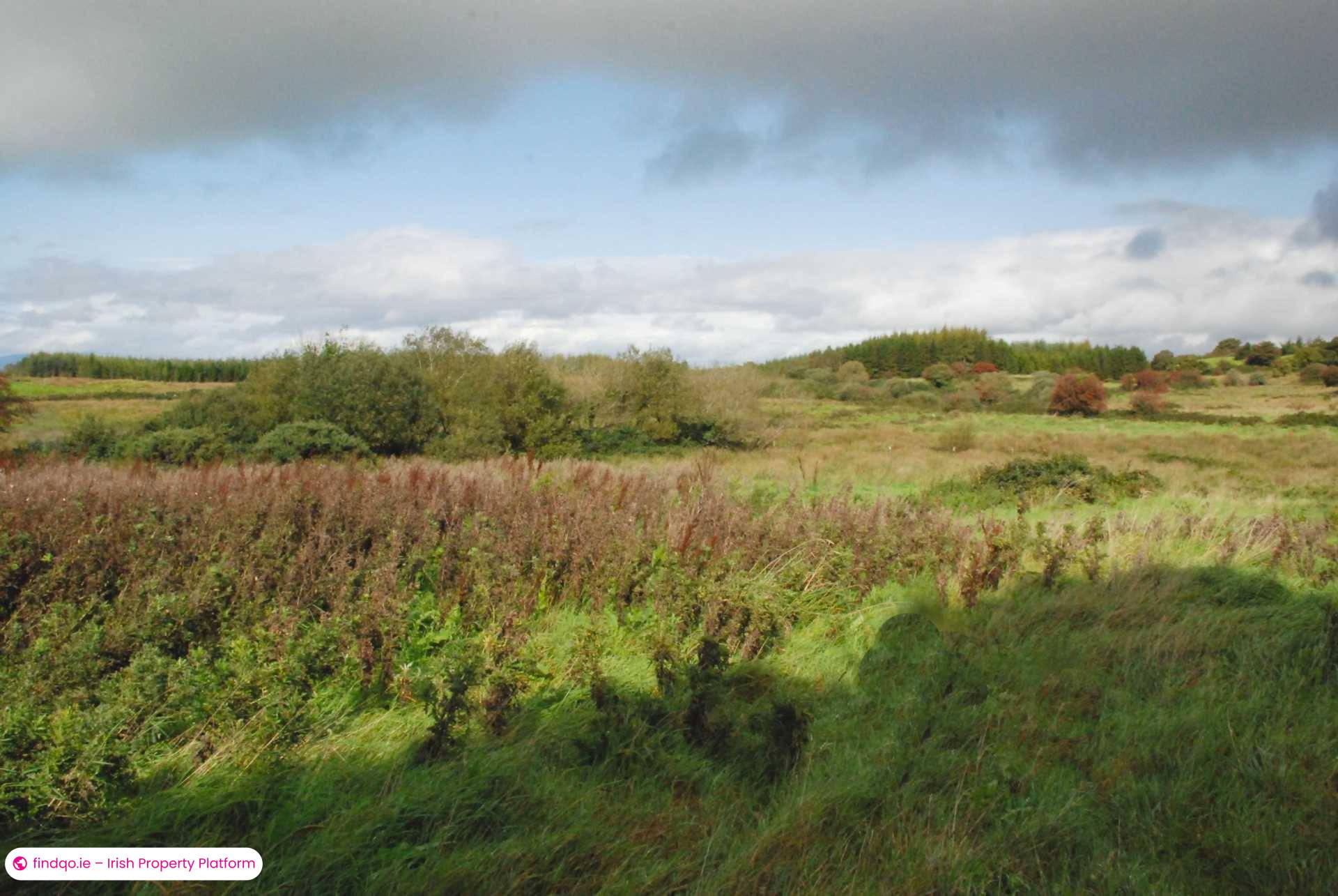 Agricultural Land for Sale in Swinford, Mayo