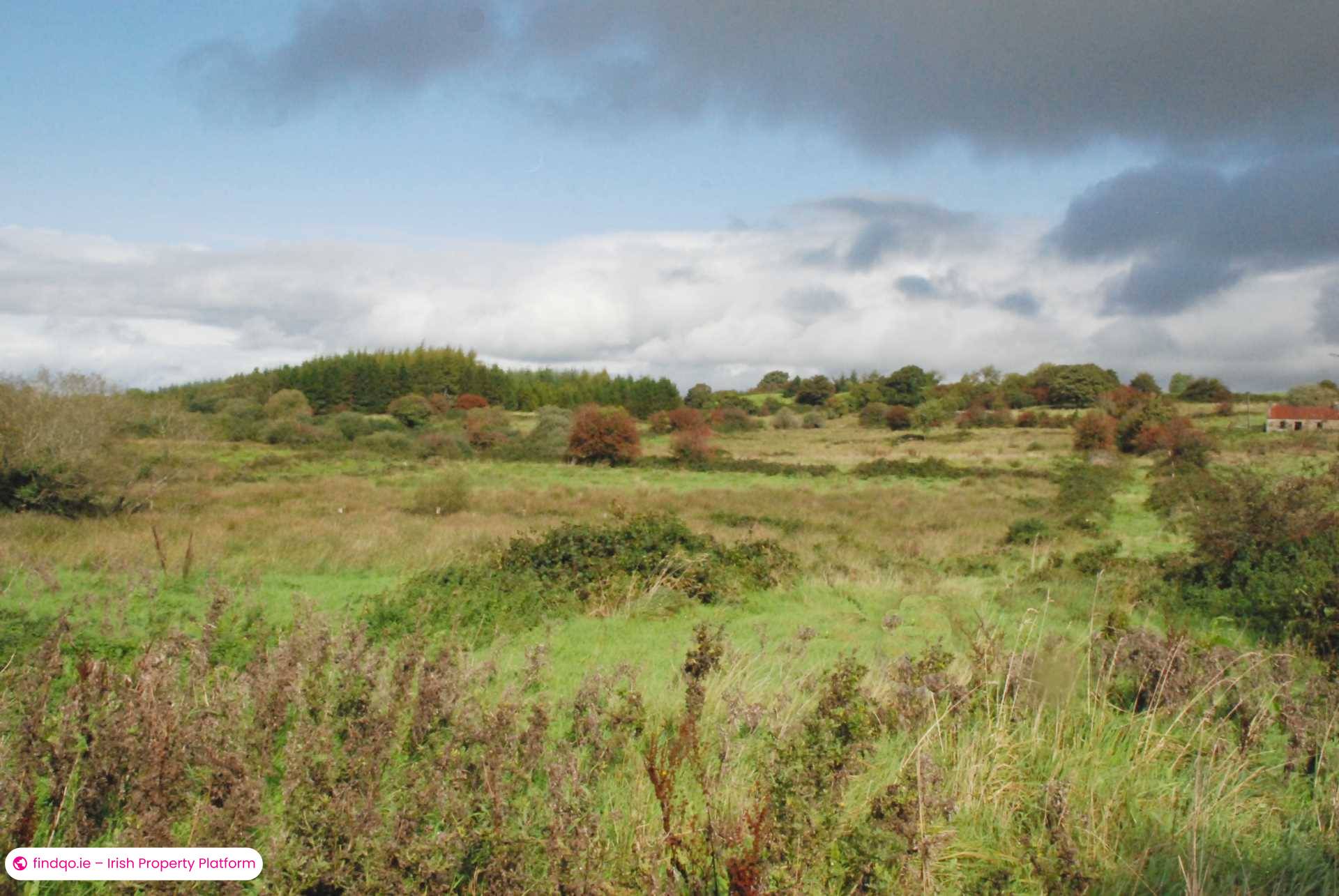 Agricultural Land for Sale in Swinford, Mayo