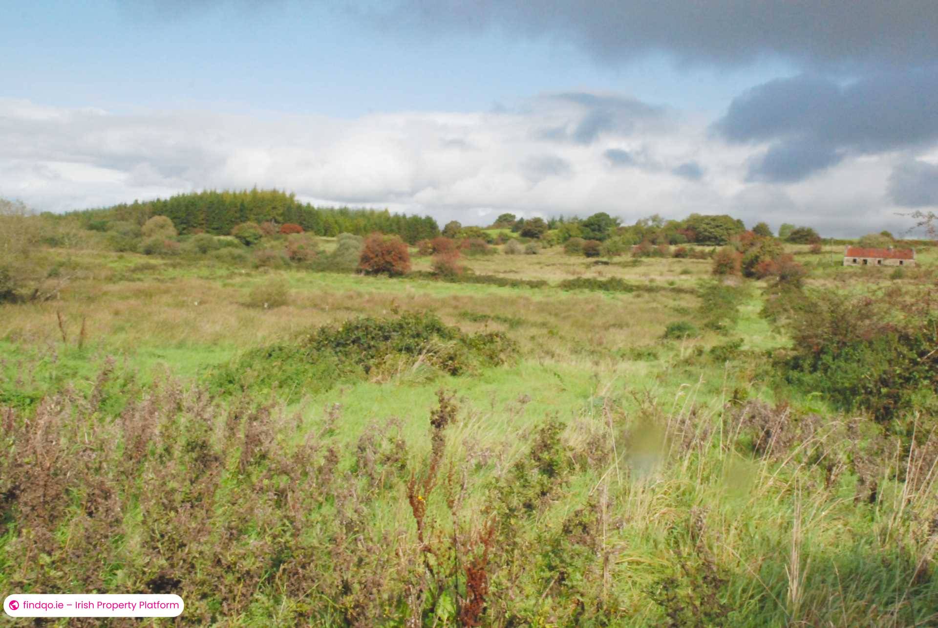 Agricultural Land for Sale in Swinford, Mayo