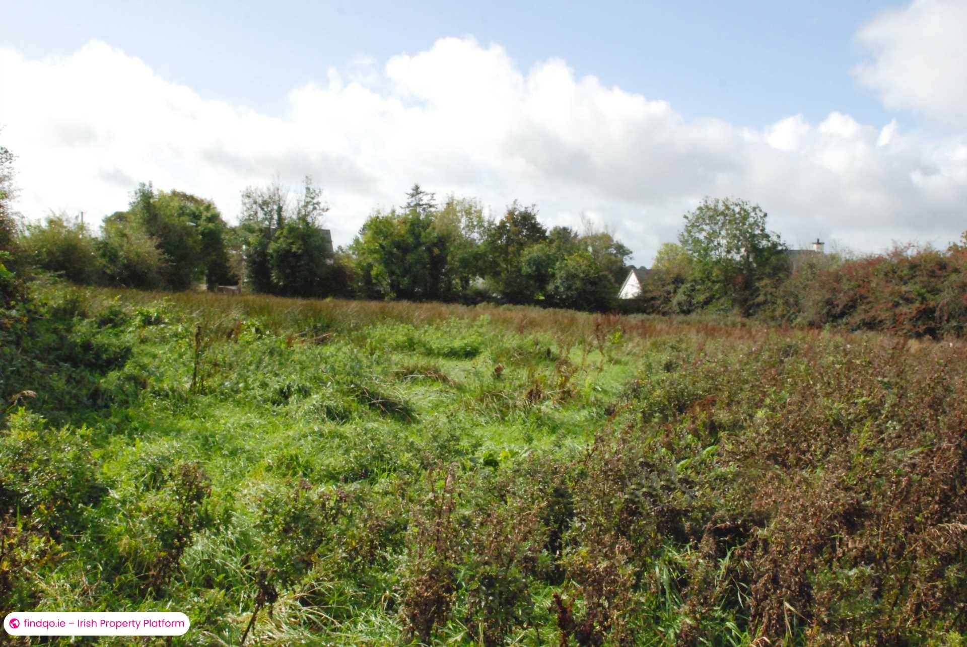 Agricultural Land for Sale in Swinford, Mayo