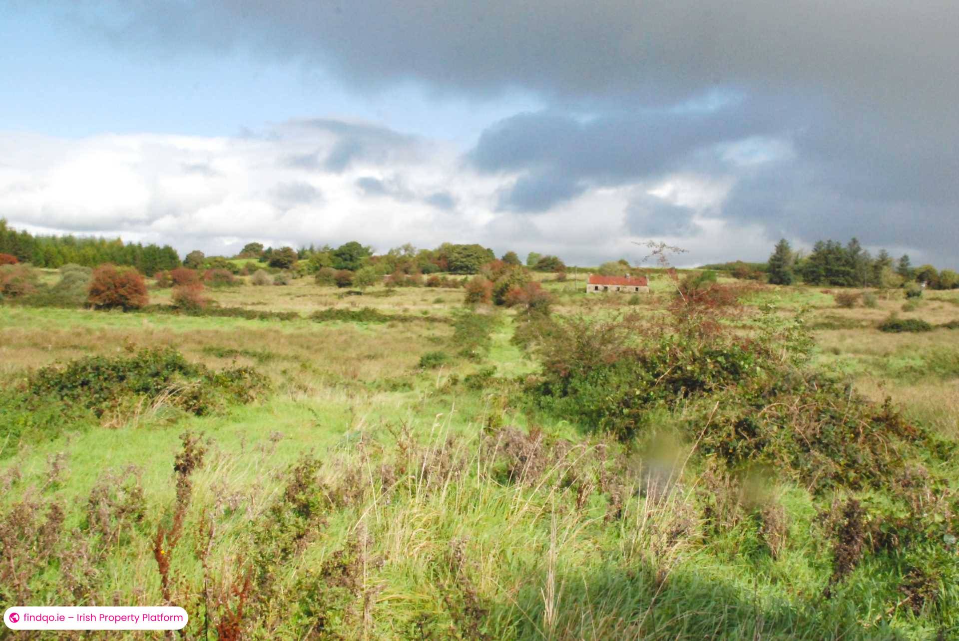 Agricultural Land for Sale in Swinford, Mayo