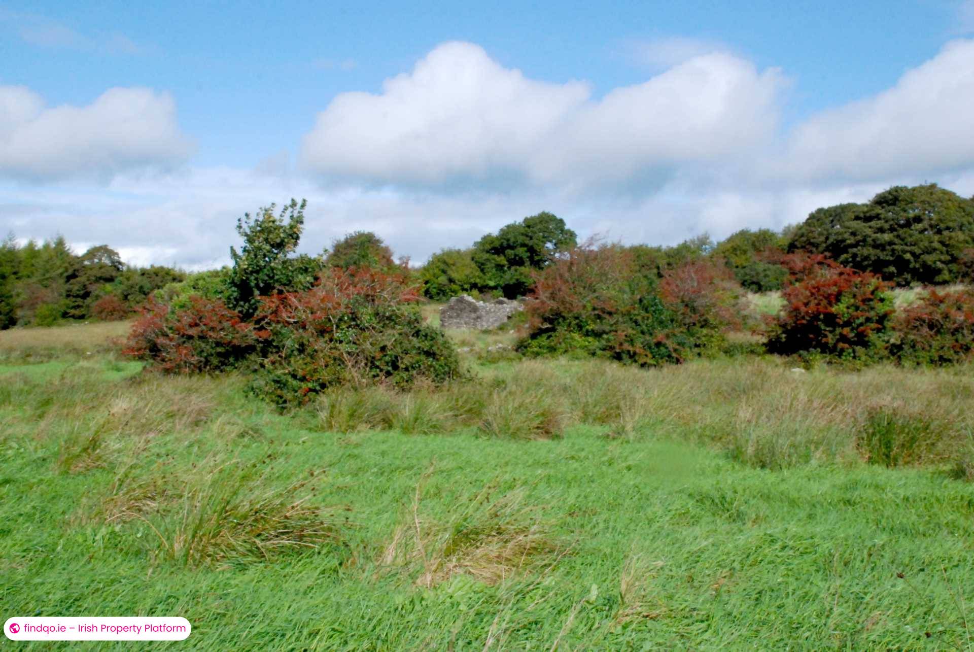 Agricultural Land for Sale in Swinford, Mayo