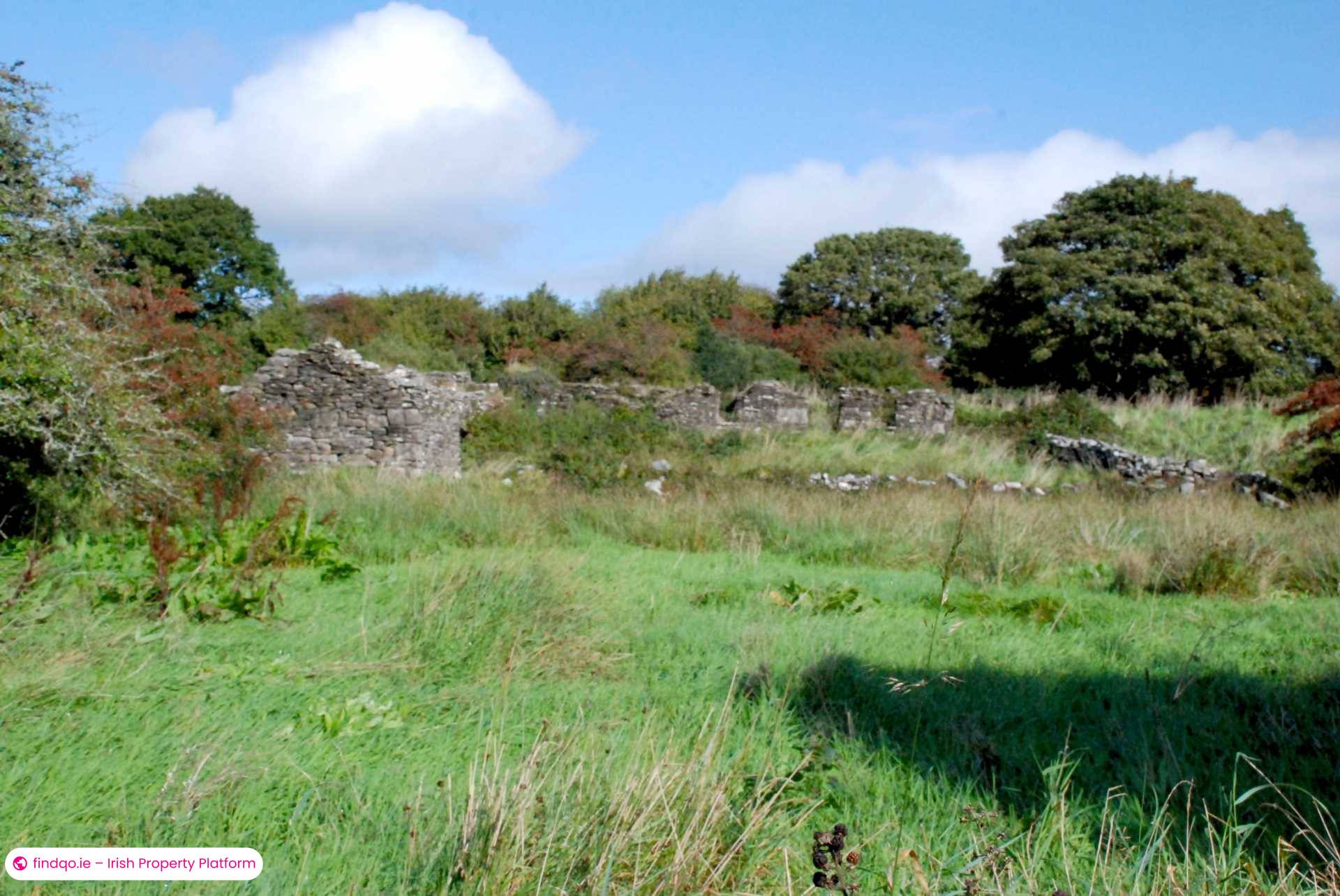 Agricultural Land for Sale in Swinford, Mayo