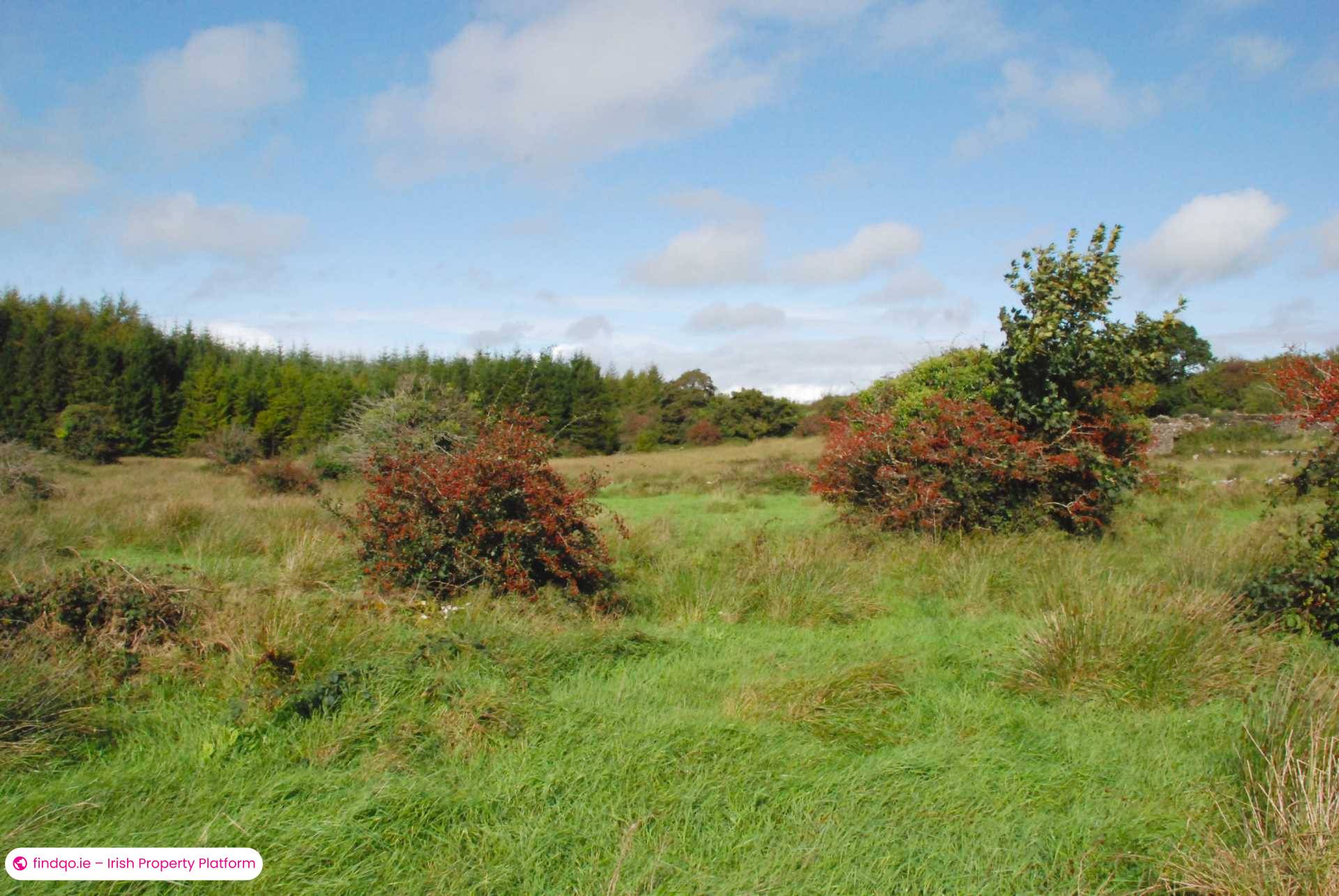 Agricultural Land for Sale in Swinford, Mayo