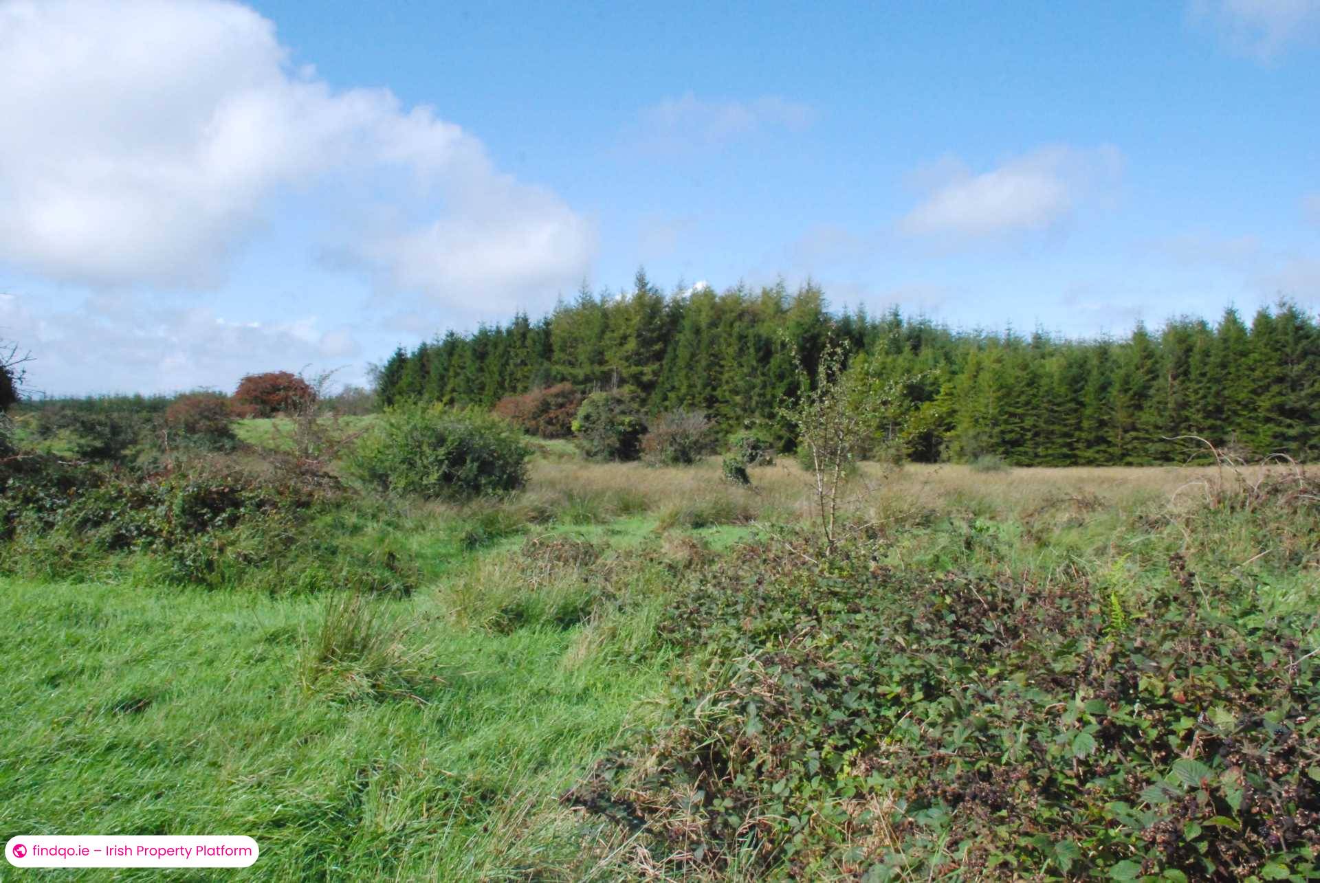 Agricultural Land for Sale in Swinford, Mayo