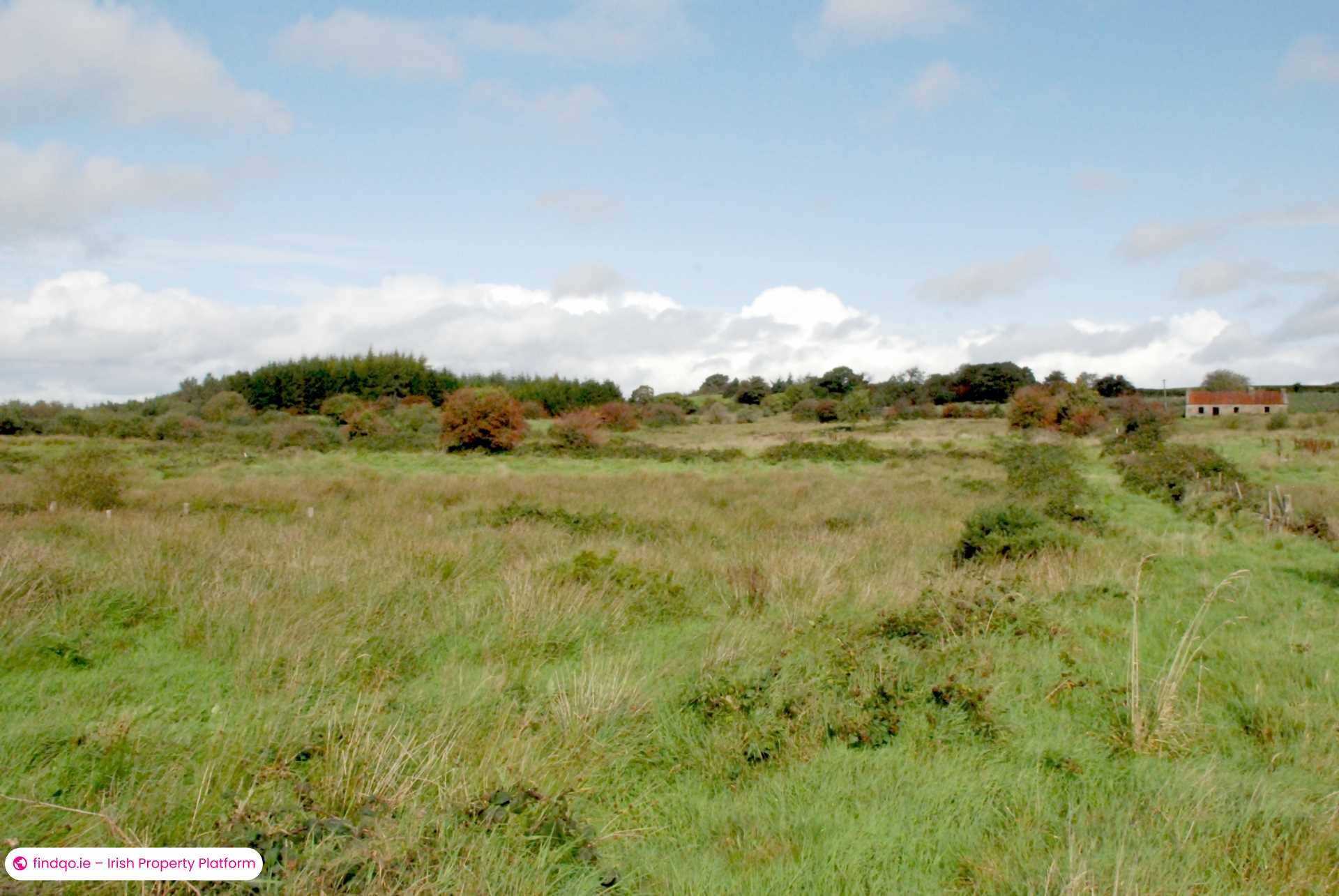 Agricultural Land for Sale in Swinford, Mayo