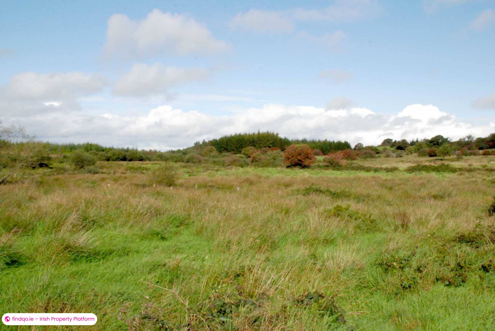 Agricultural Land for Sale in Swinford, Mayo