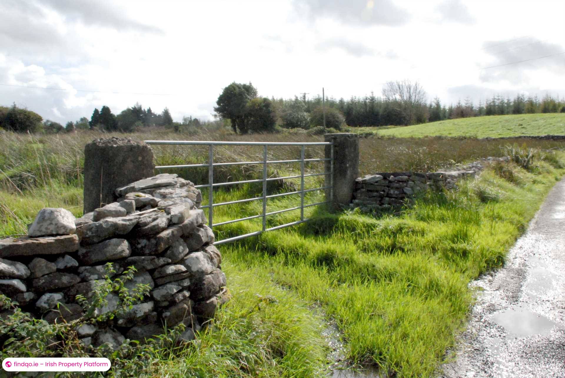 Agricultural Land for Sale in Swinford, Mayo