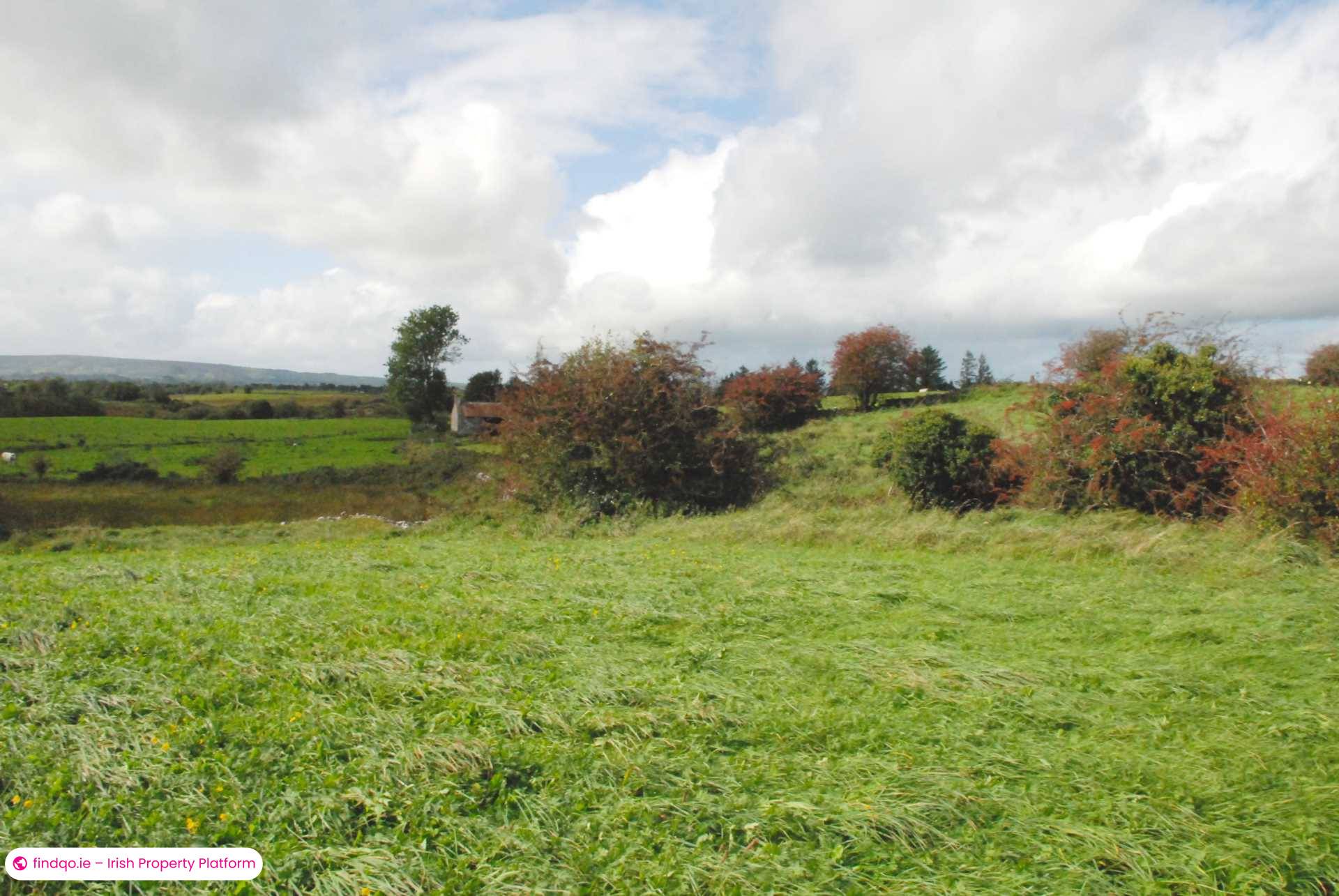 Agricultural Land for Sale in Swinford, Mayo