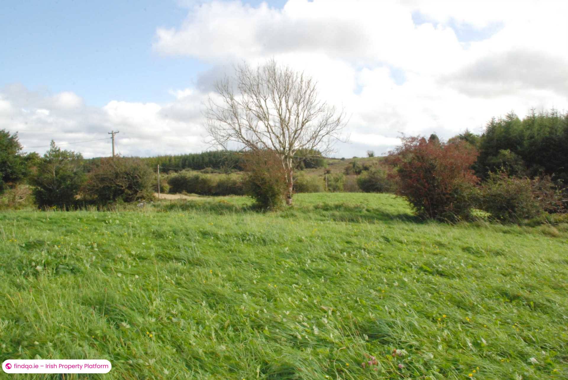 Agricultural Land for Sale in Swinford, Mayo