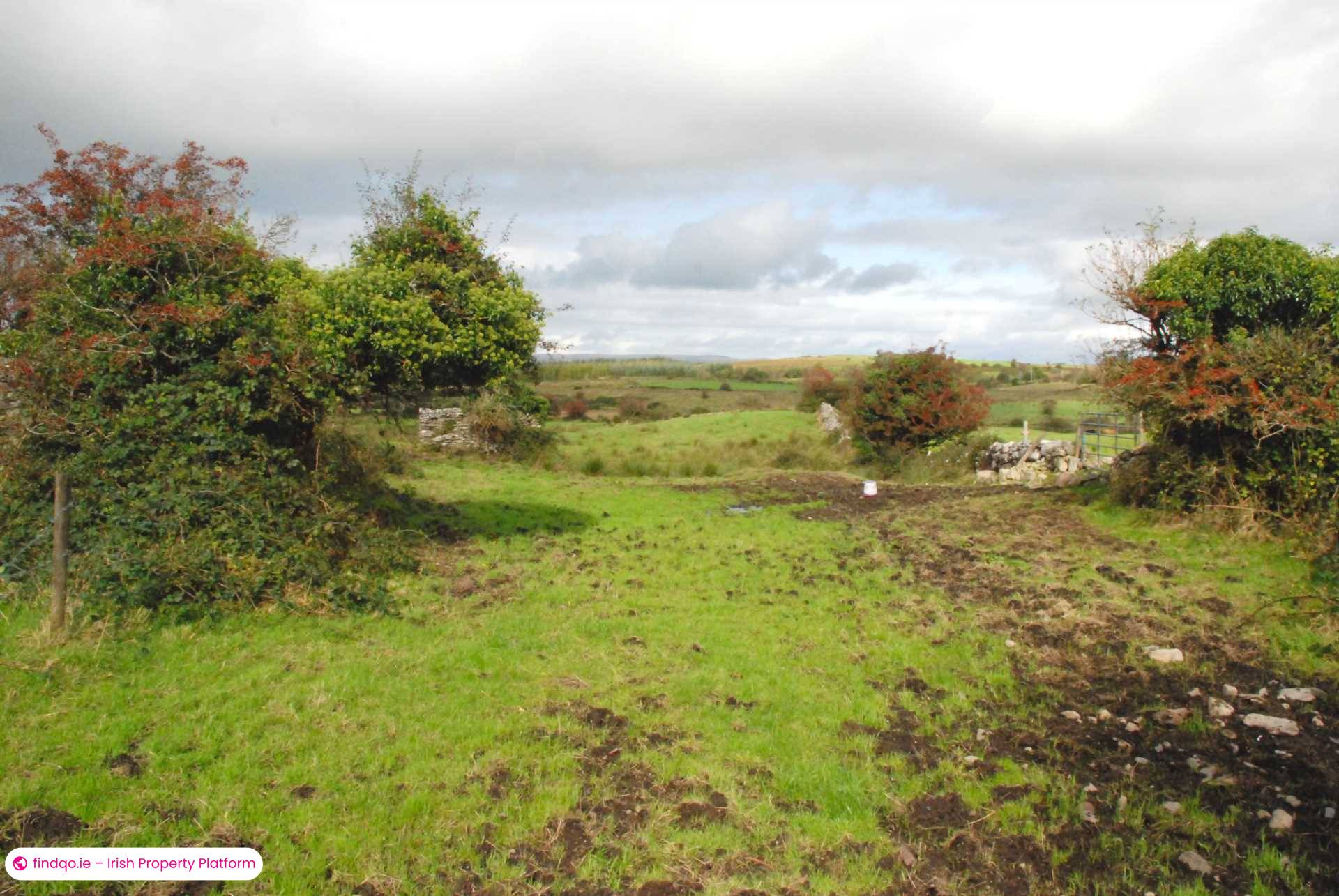 Agricultural Land for Sale in Swinford, Mayo