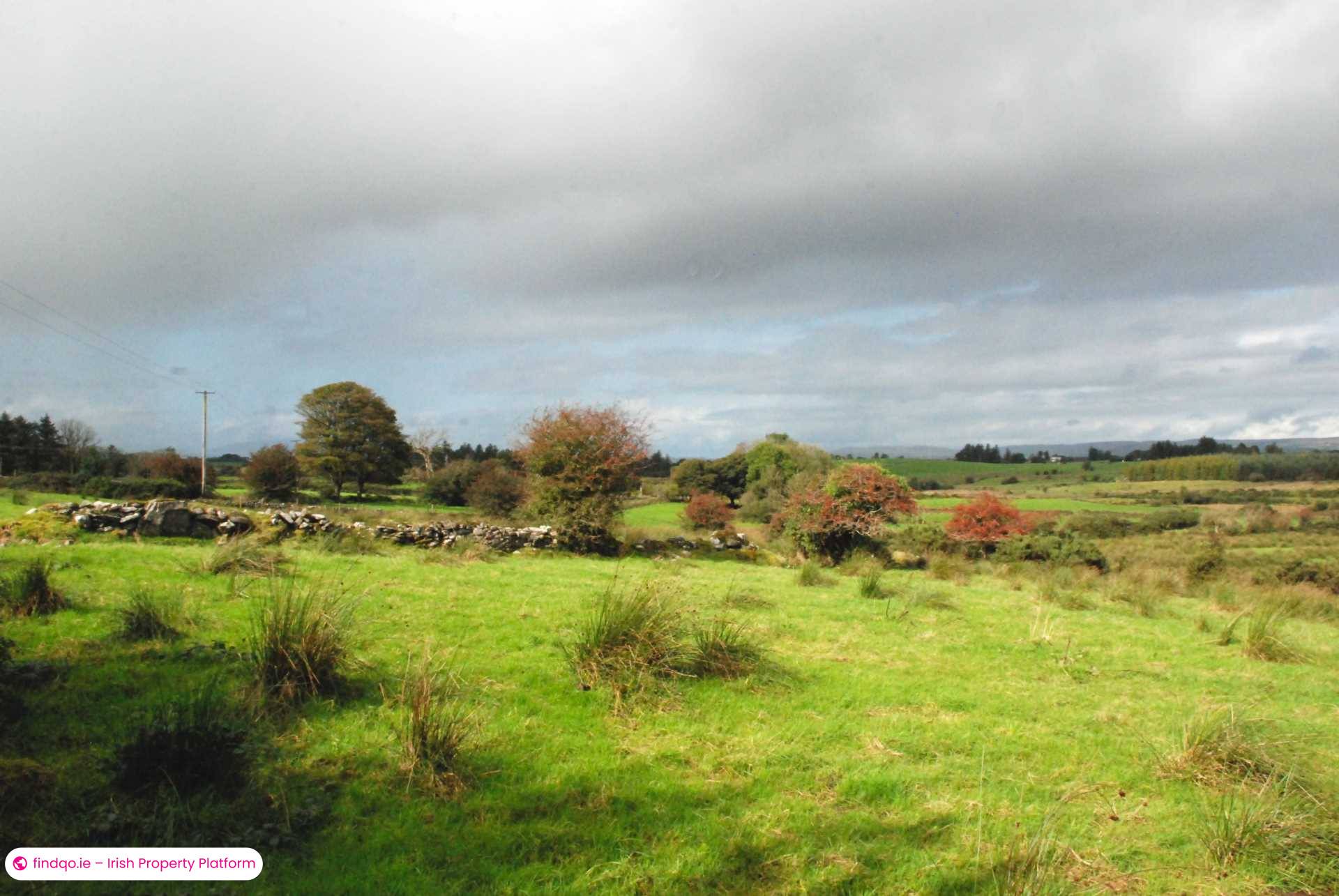 Agricultural Land for Sale in Swinford, Mayo