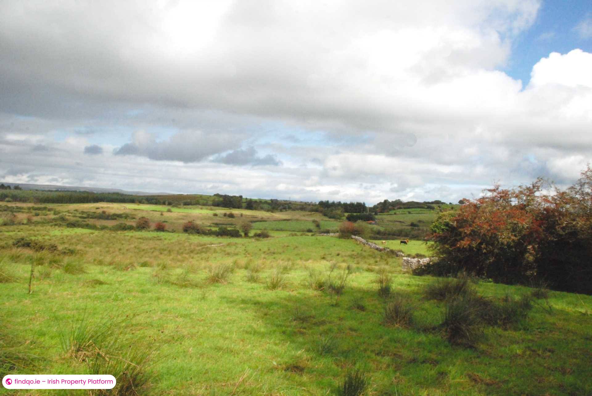 Agricultural Land for Sale in Swinford, Mayo