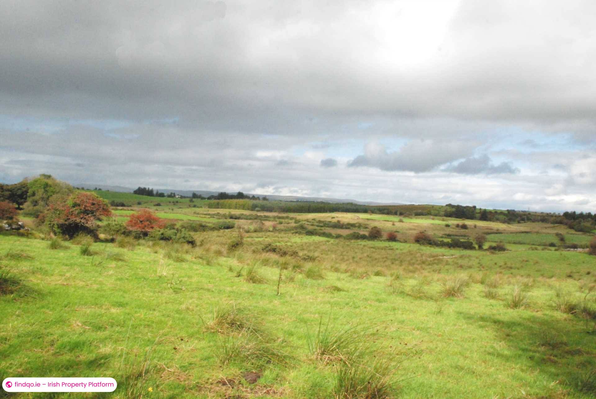Agricultural Land for Sale in Swinford, Mayo