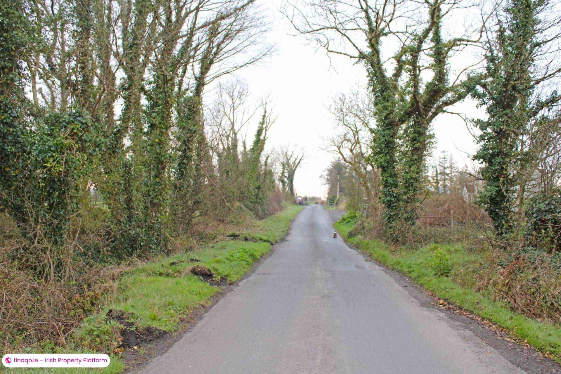 Development Land for Sale in Killala, Mayo