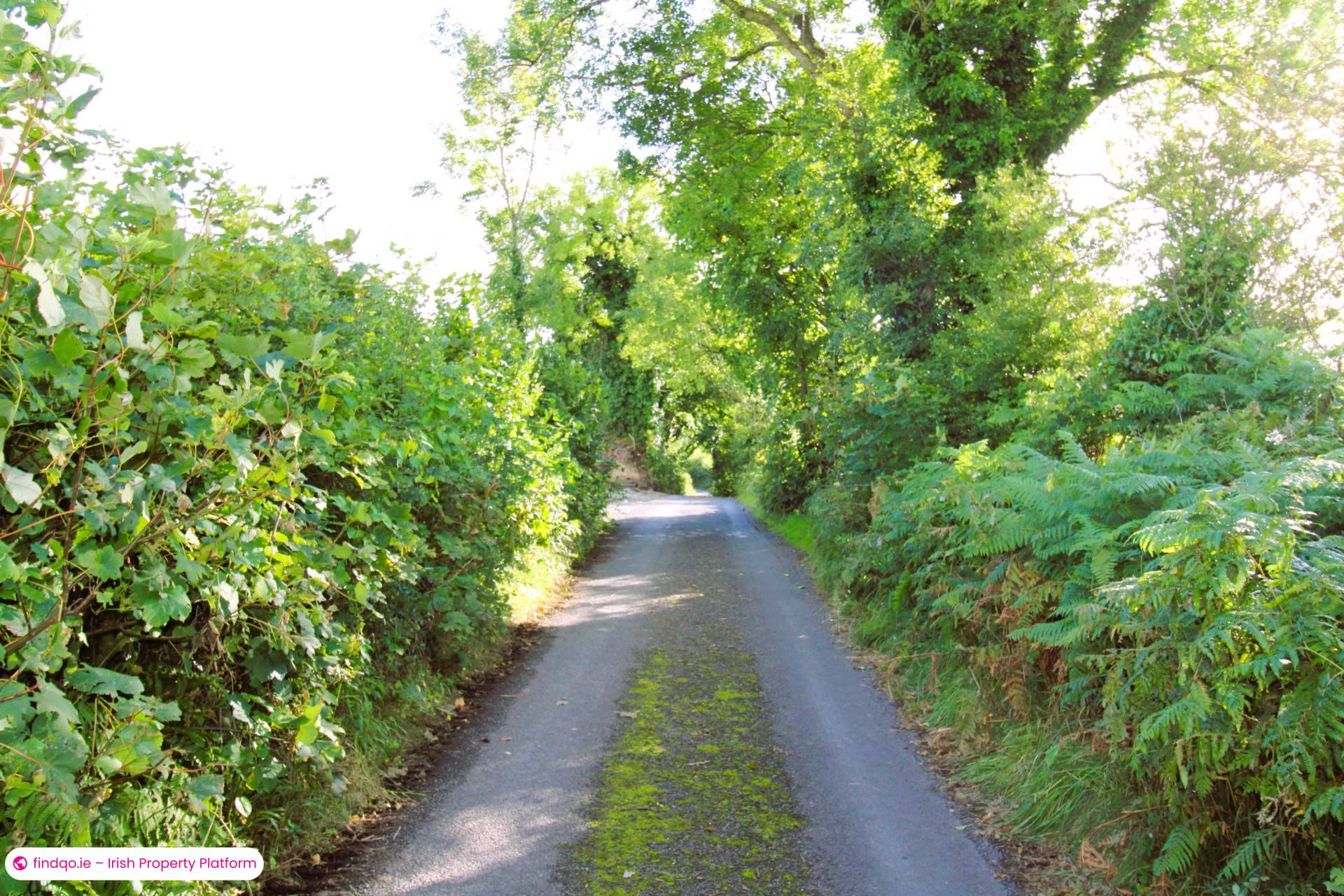 Agricultural Land for Sale in Ballina, Mayo