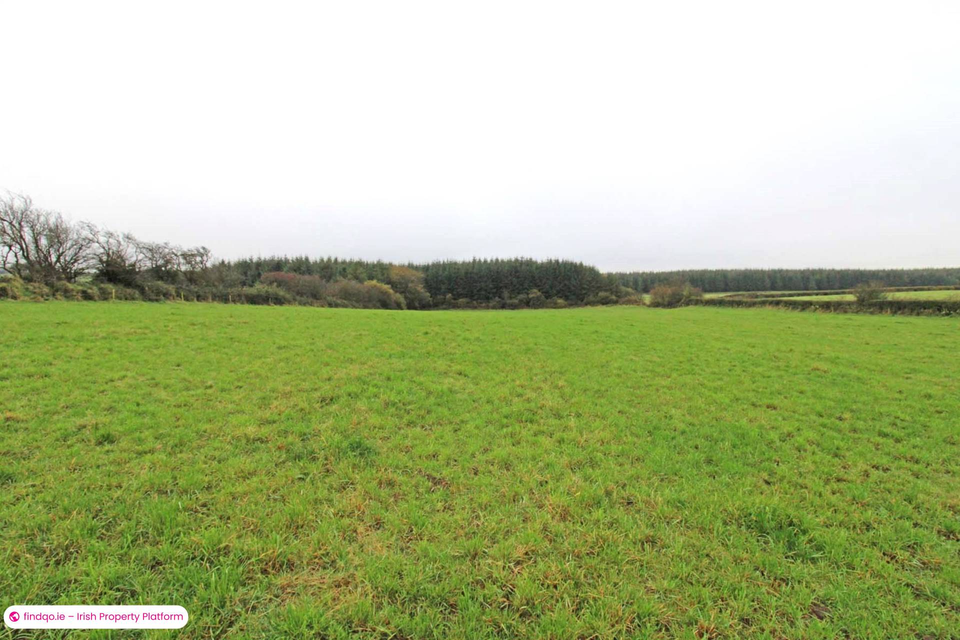 Agricultural Land for Sale in Killala, Mayo