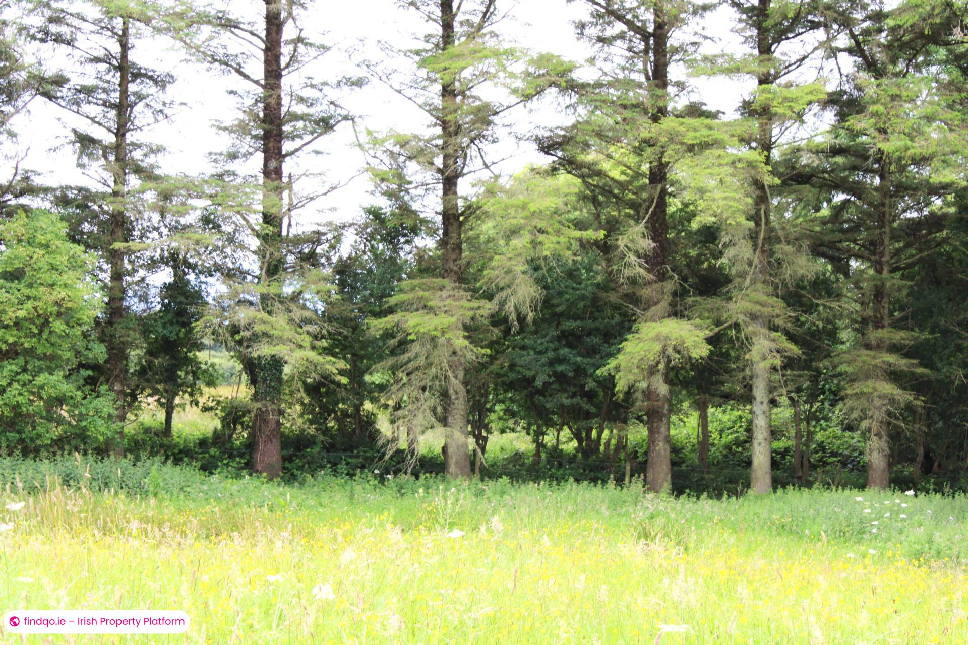 Development Land for Sale in Killala, Mayo