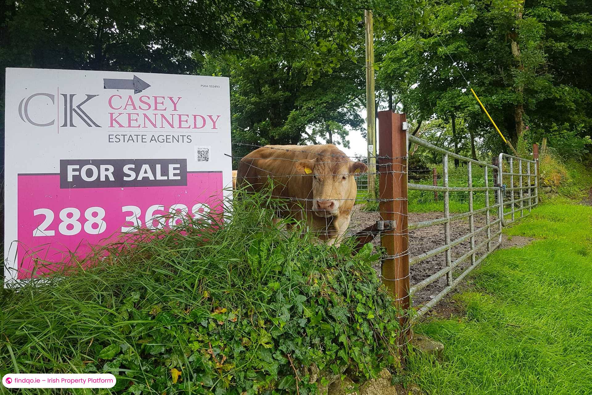 Bungalow for Sale in Rathdangan, Wicklow