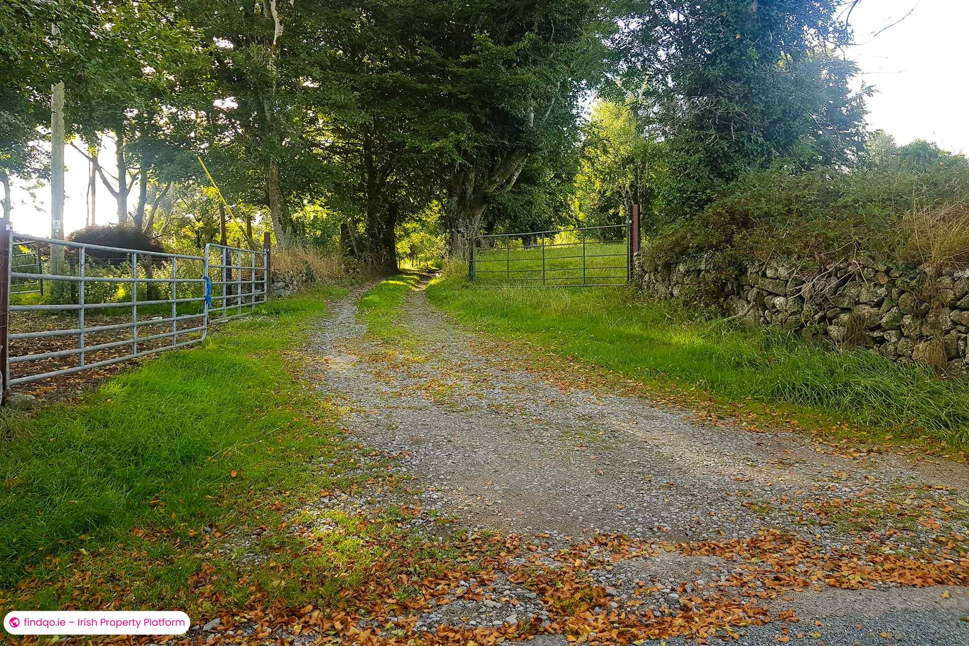 Bungalow for Sale in Rathdangan, Wicklow